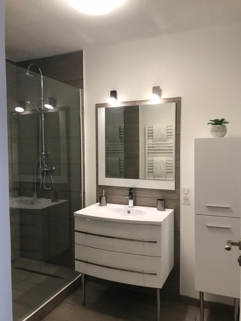Roanne-Centre Appartement Экстерьер фото